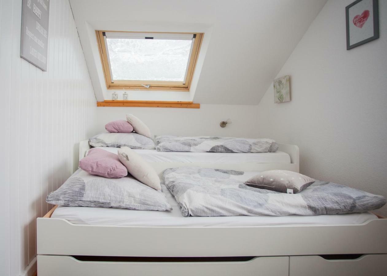 Apartmán Wohlfuehloase Am Bikepark Und Skigebiet, 2 Schlafzimmer, Abschliessbarer Fahrradkeller Winterberg Exteriér fotografie