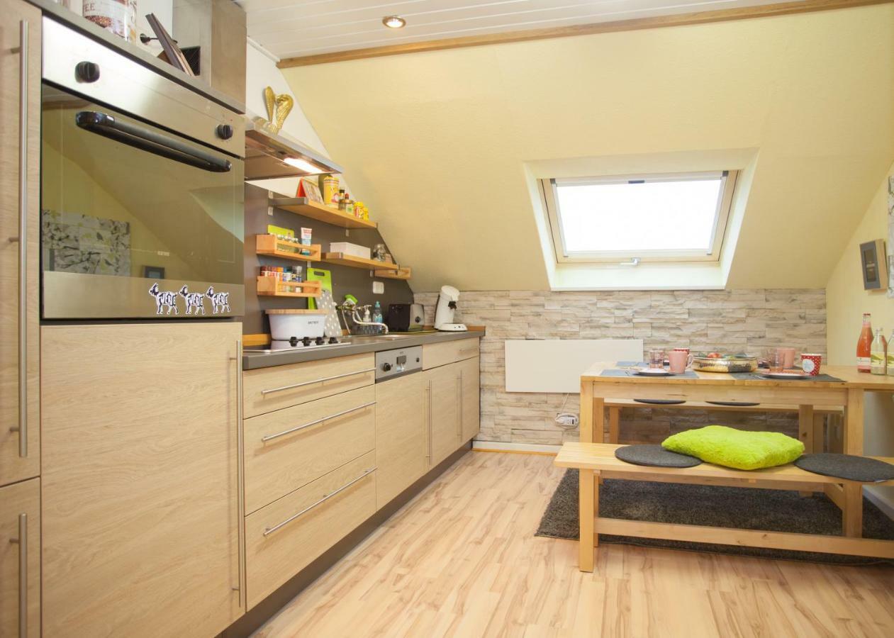 Apartmán Wohlfuehloase Am Bikepark Und Skigebiet, 2 Schlafzimmer, Abschliessbarer Fahrradkeller Winterberg Exteriér fotografie