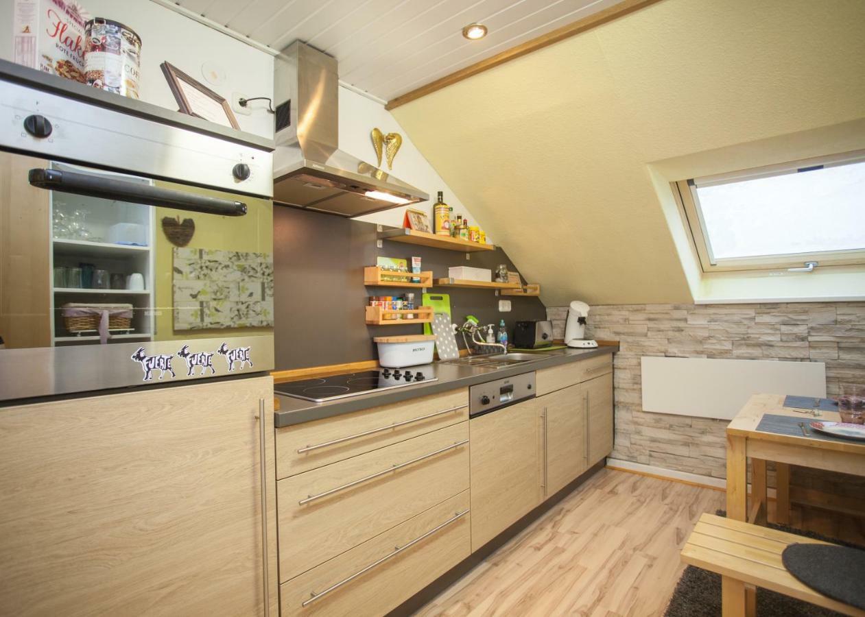 Apartmán Wohlfuehloase Am Bikepark Und Skigebiet, 2 Schlafzimmer, Abschliessbarer Fahrradkeller Winterberg Exteriér fotografie