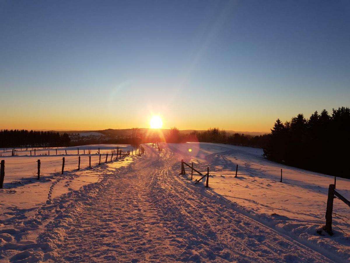 Apartmán Wohlfuehloase Am Bikepark Und Skigebiet, 2 Schlafzimmer, Abschliessbarer Fahrradkeller Winterberg Exteriér fotografie