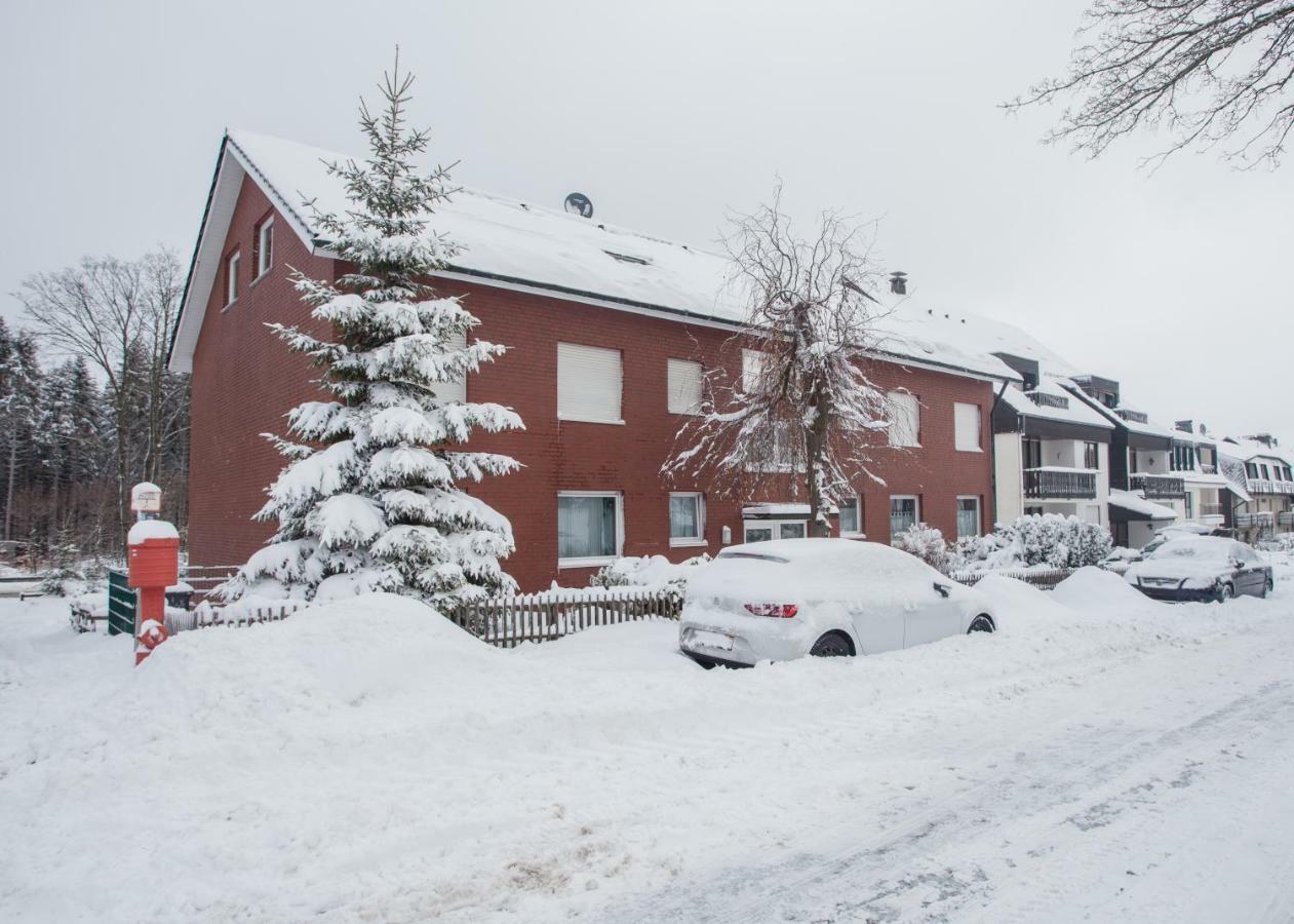 Apartmán Wohlfuehloase Am Bikepark Und Skigebiet, 2 Schlafzimmer, Abschliessbarer Fahrradkeller Winterberg Exteriér fotografie